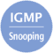 2icon_1GMP_Snooping_icon.png?scale.width=60