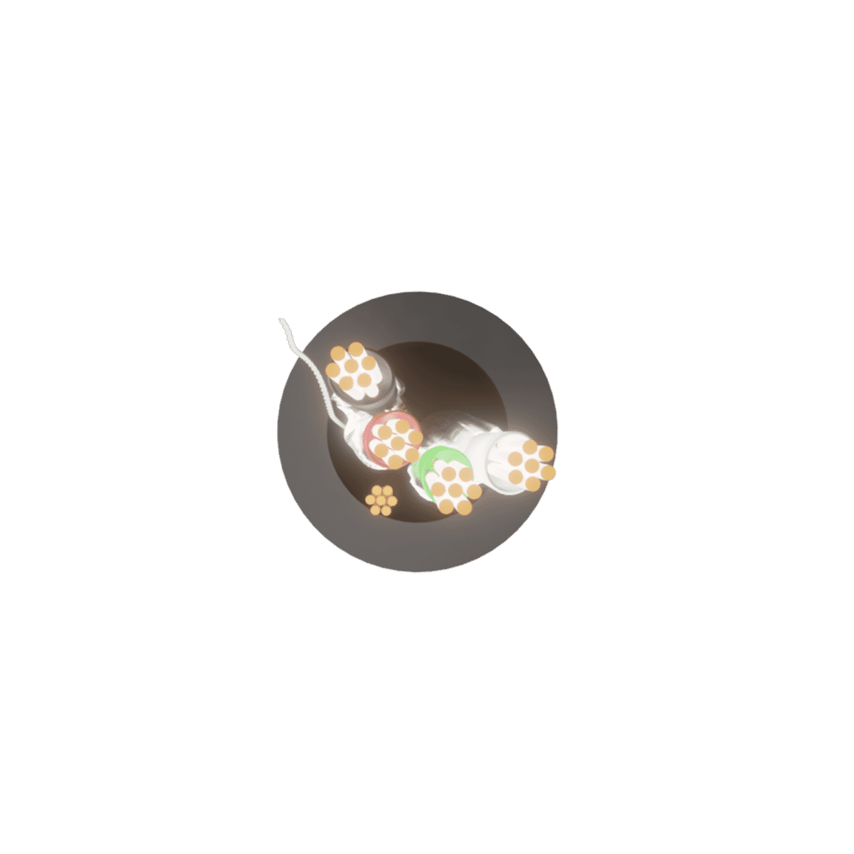 554085_4 554085_4